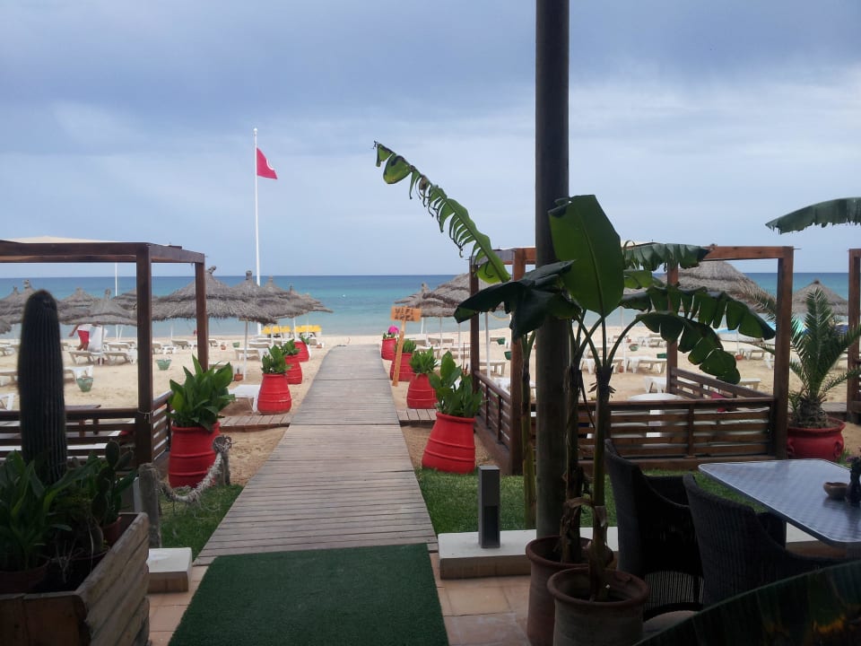 A magnifacent Place Hotel Royal Nozha