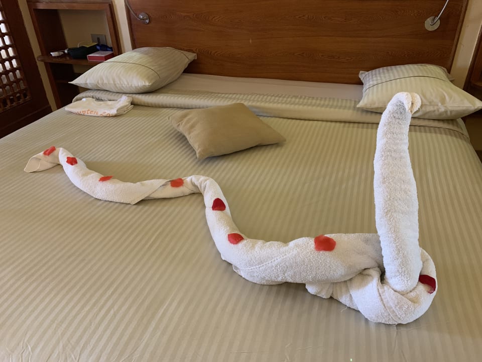 Zimmer Grand Waterworld Makadi & Family Star Makadi