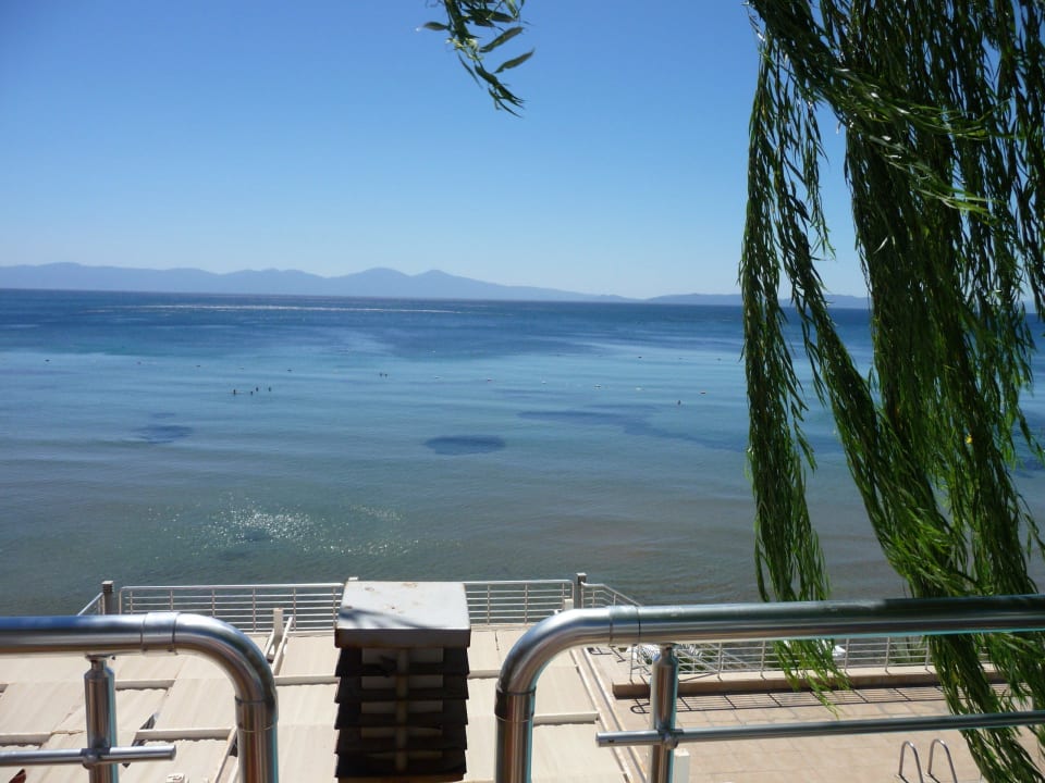 Widok z basenu Aria Claros Beach & Spa Resort