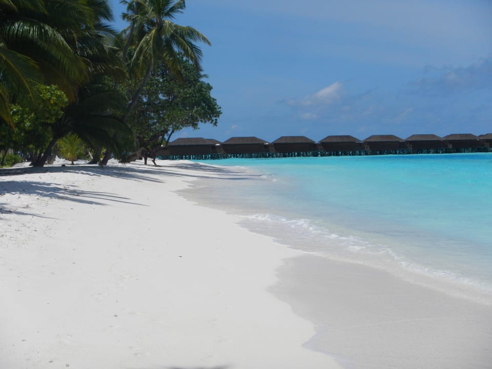 Menschenleere weiße Strände Meeru Maldives Resort Island