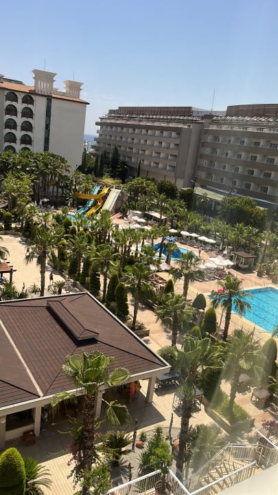 Ausblick Dizalya Palm Garden