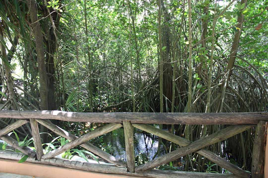 Weg zum Strand Sunscape Puerto Plata