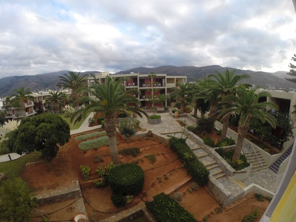 Ogród allsun Hotel Malia Beach