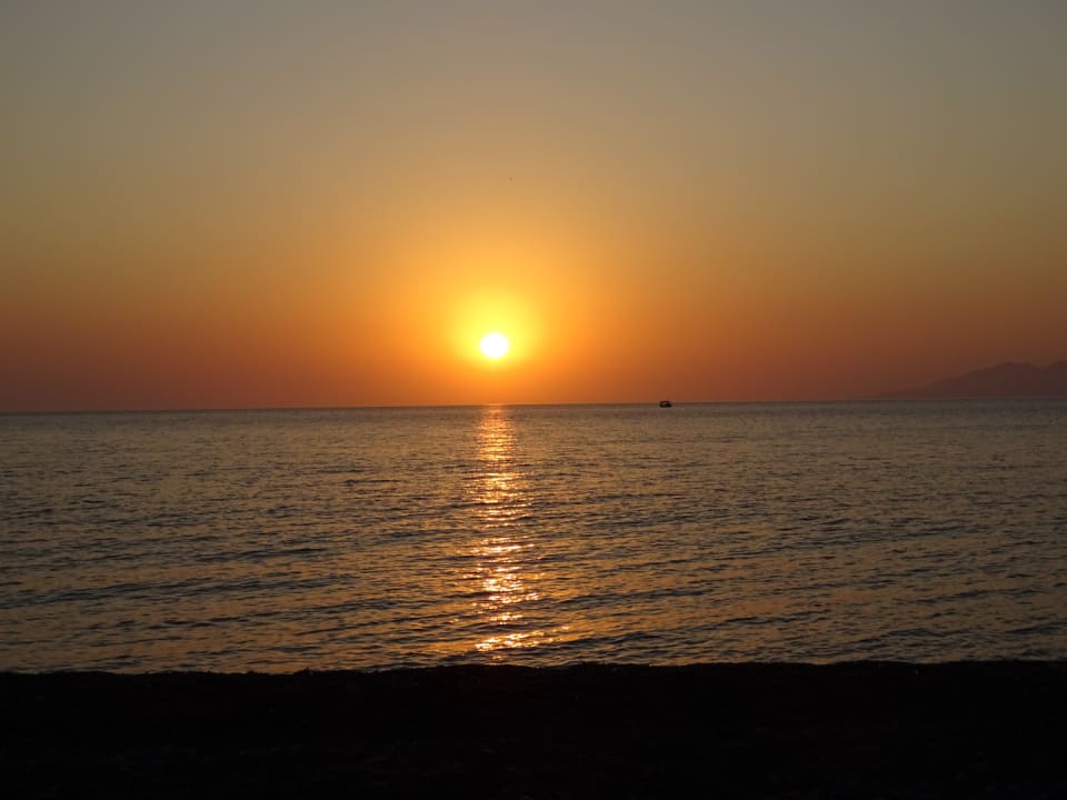 Ausblick Hotel Nissia Apartments