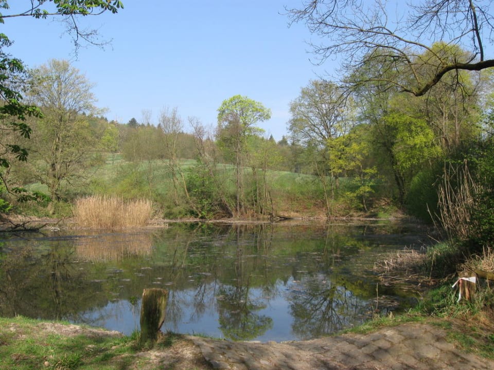 Teich hinter dem Hotel Freigeist FREIgeist Northeim