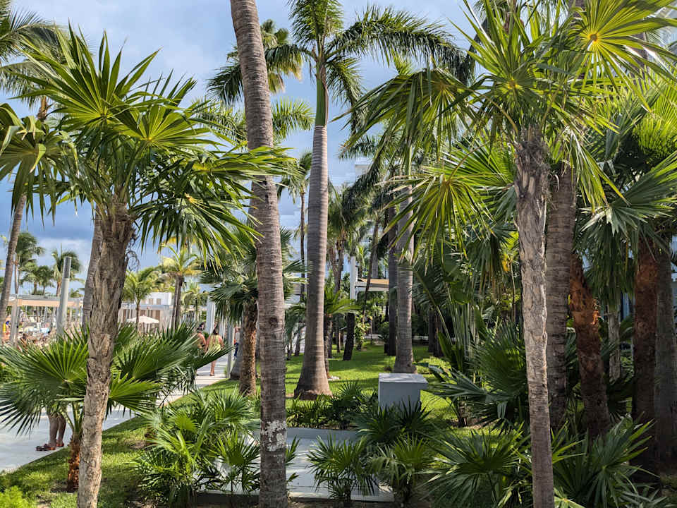 Gartenanlage Hotel Riu Caribe