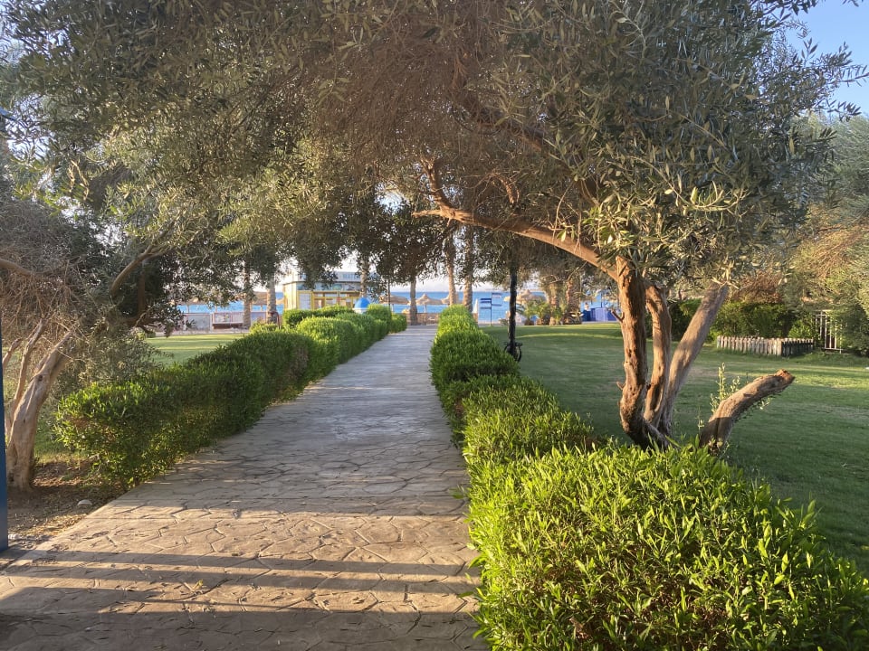 Gartenanlage Palm Royale Resort - Soma Bay