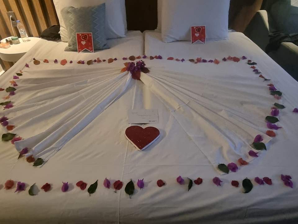 Zimmer TUI MAGIC LIFE Bodrum - Adult Only (16+)