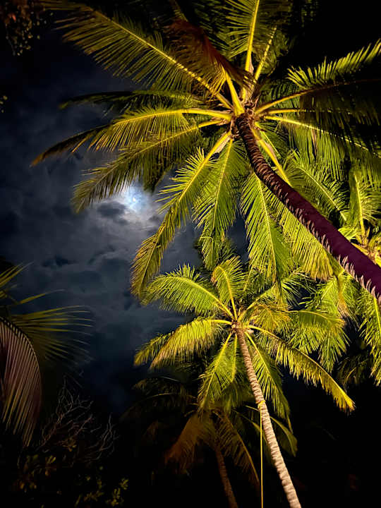 Strand Summer Island Maldives