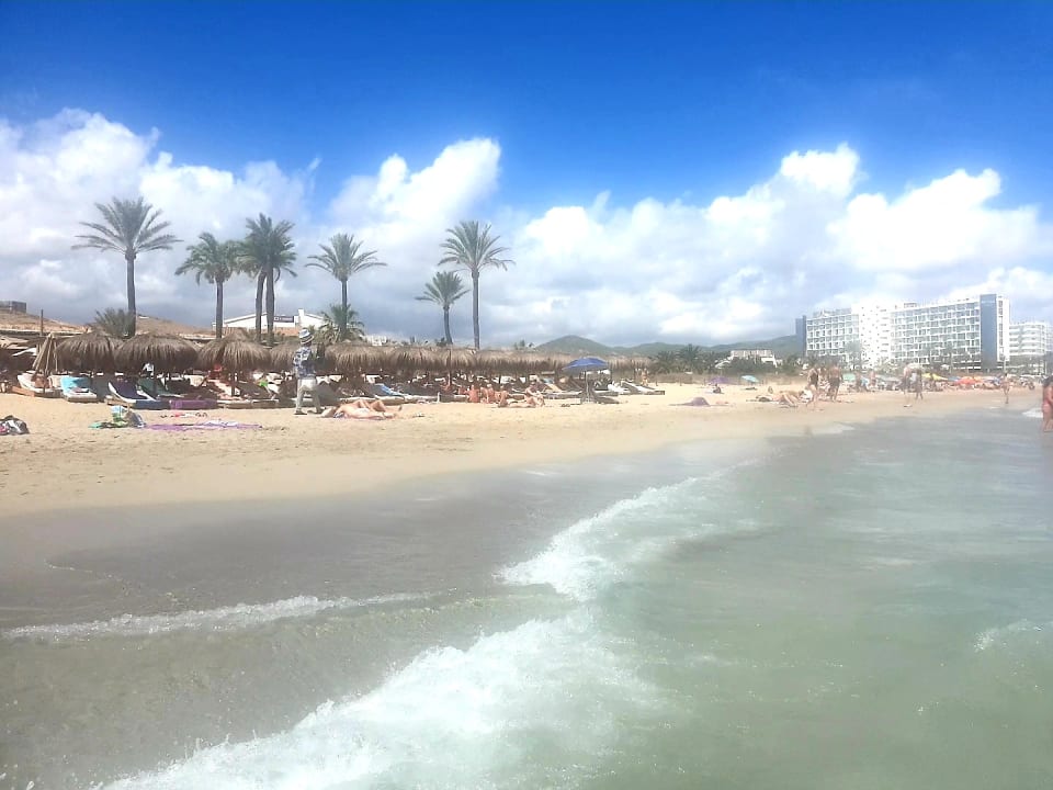 Strand FERGUS Style Bahamas