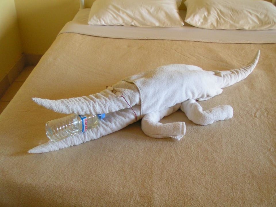 Krokodil auf dem Zimmer Three Corners Rihana Resort Deluxe