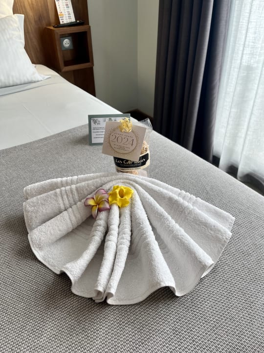 Zimmer Le Saint Pierre