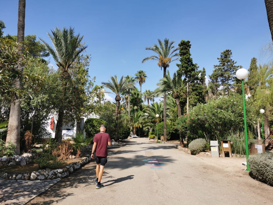 Gartenanlage Flipflop Cala Romantica