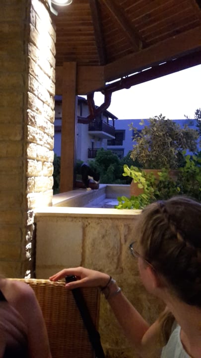 Blick von der Außen Terasse vom Restaurante Cactus Beach