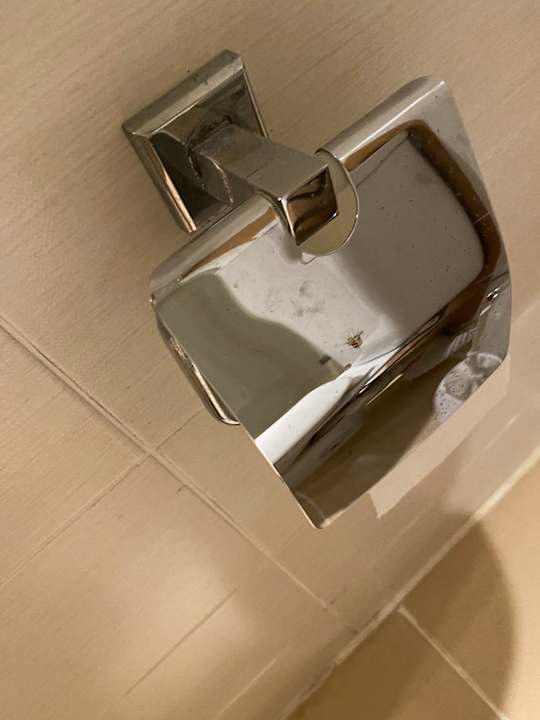 Zimmer Royal Star Beach Resort