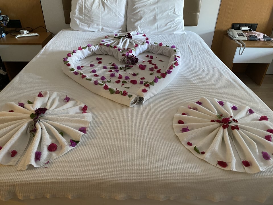 Zimmer Hane Family Resort