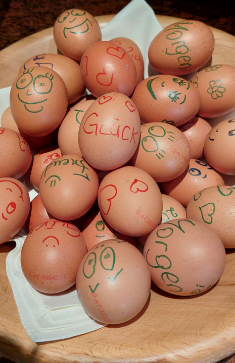 Gastro RETTER Bio-Natur-Resort