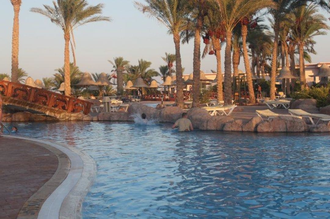 Basen Parrotel Beach Resort