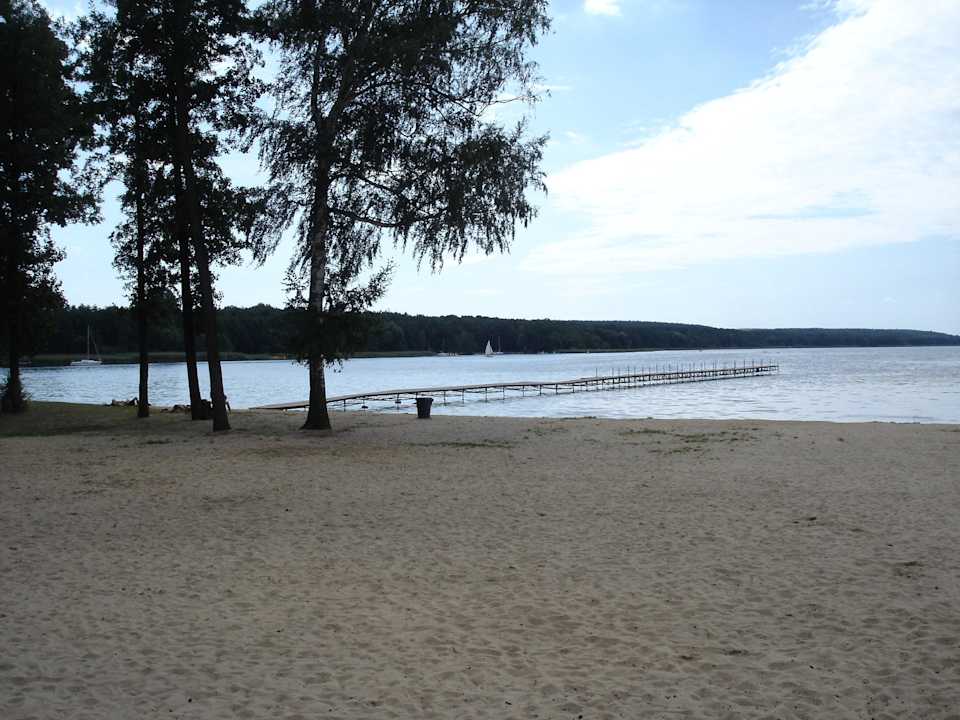 Widok z hotelu Sułkowski Conference Resort