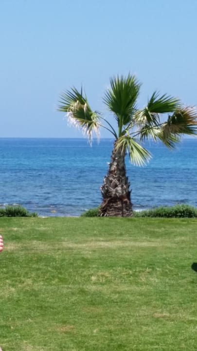 Strand TUI BLUE Insula Alba