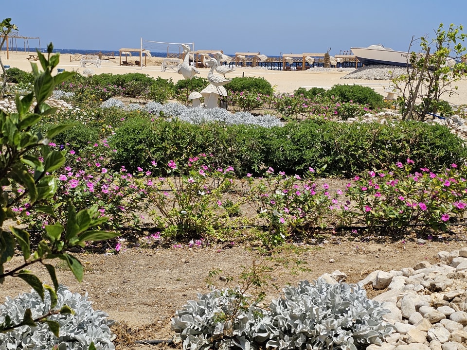 Strand Beach Safari Nubian Resort