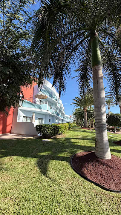 Gartenanlage R2 Pajara Beach