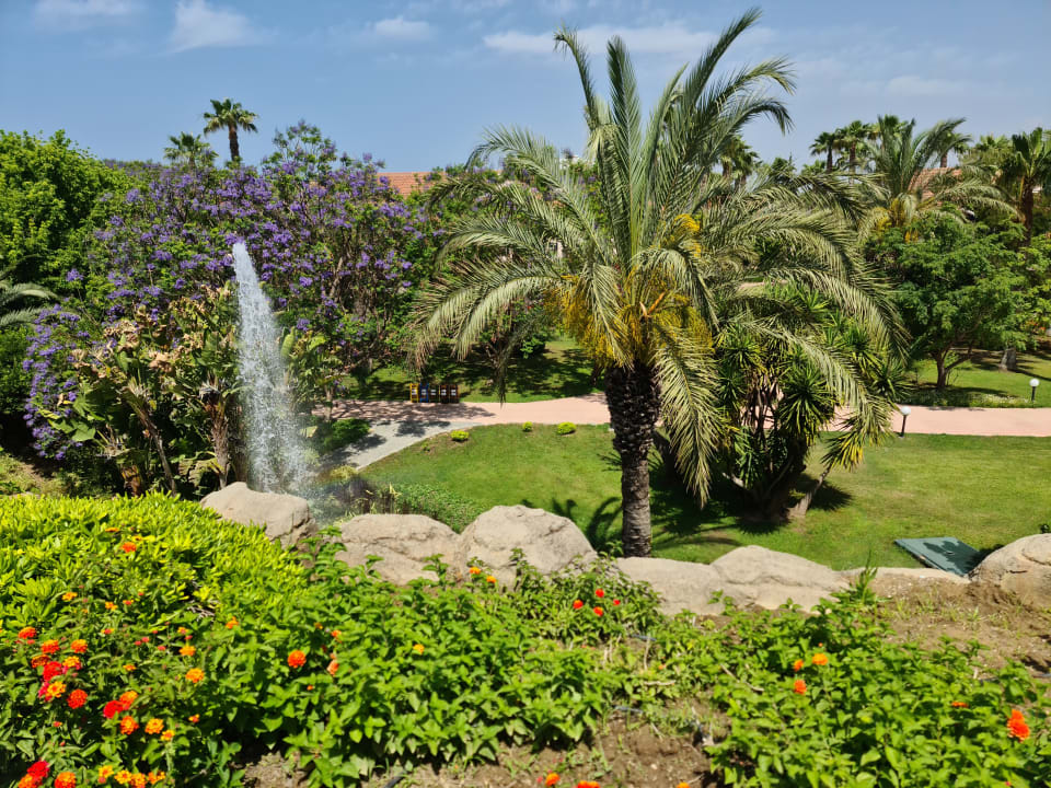 Gartenanlage Starlight Resort Hotel