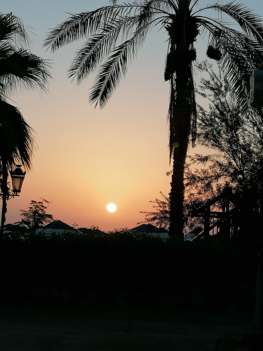 Ausblick Ghazala Beach