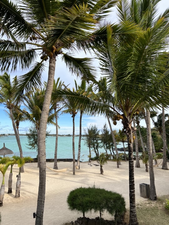 Ausblick Lagoon Attitude - Adults only