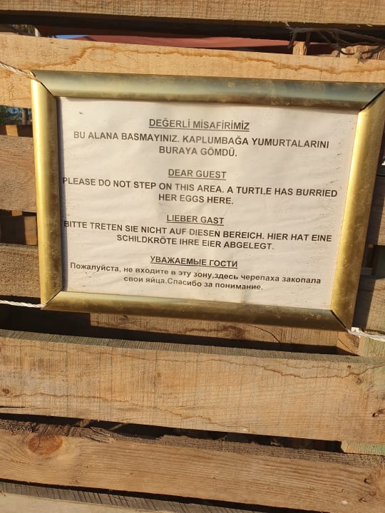 Sonstiges Haydarpasha Palace