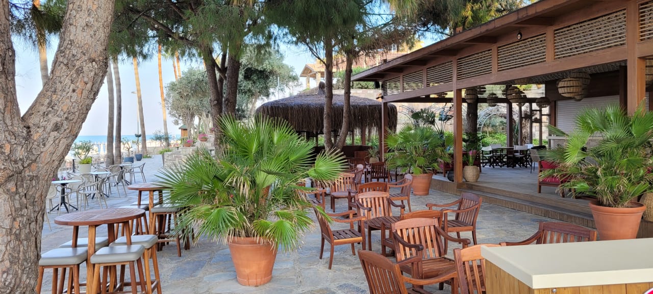 Gastro Arum Barut Collection