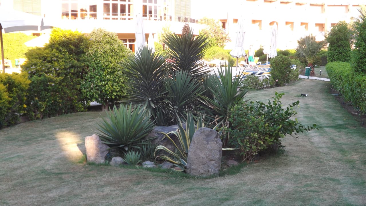 Garten Prima Life Makadi Resort