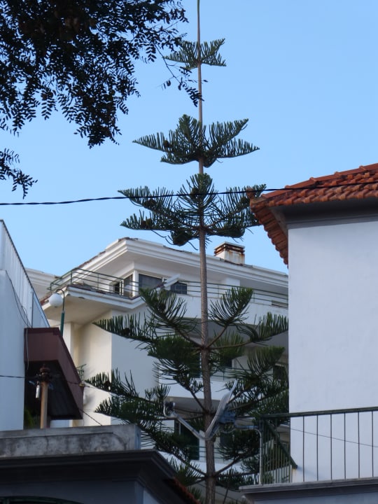 Ausblick Hotel Baia Azul