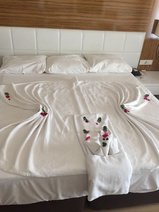 Deko Asteria Family Belek