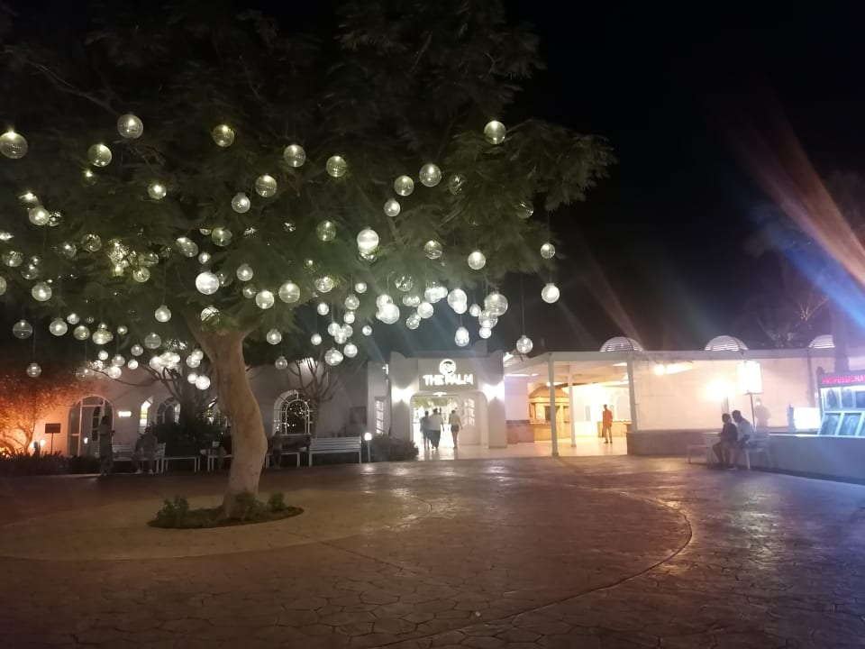 Sonstiges Desert Rose