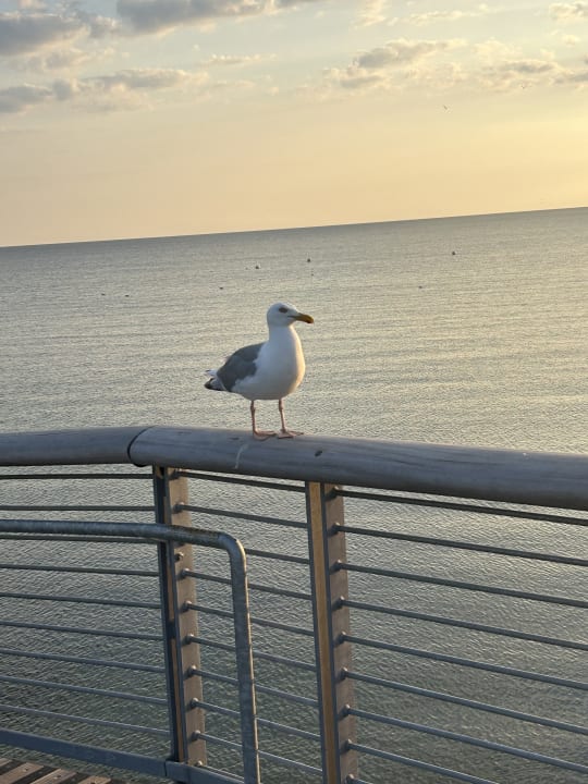 Außenansicht Ferienwohnungen Ferienpark Weissenhäuser Strand