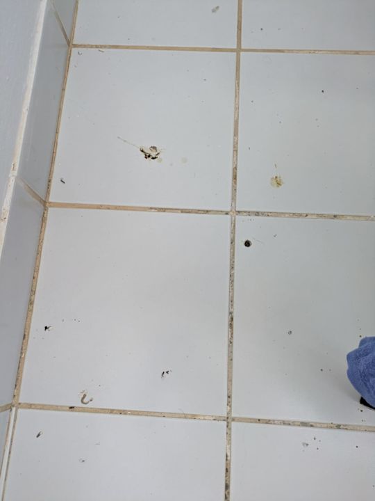 Zimmer Hotel Serita Beach