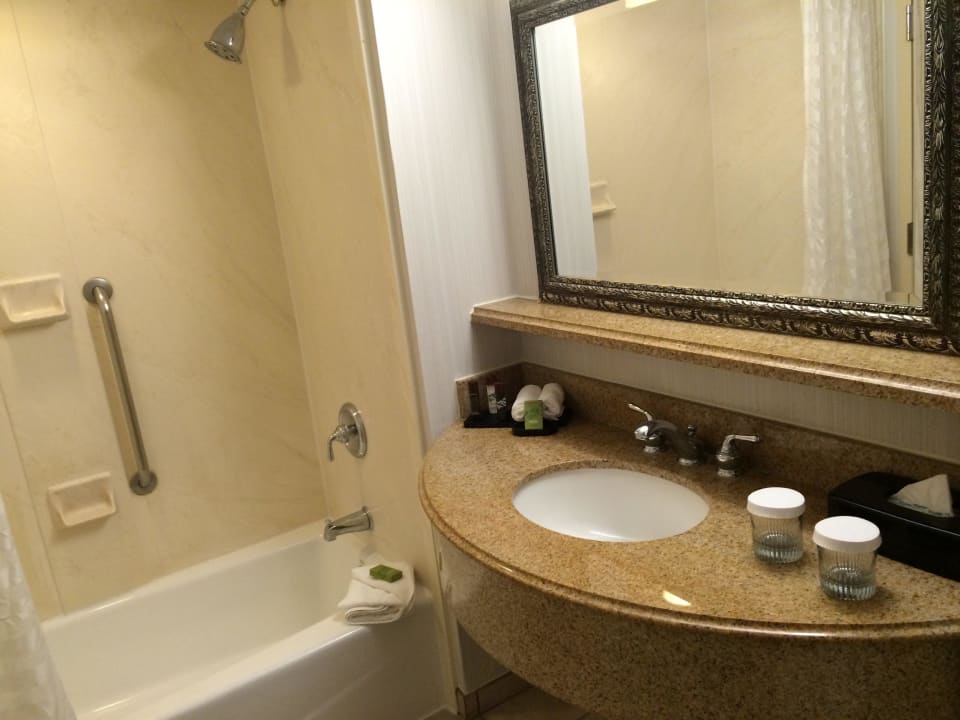 Standard Suite 3 Stock Hotel Embassy Suites Orlando Downtown