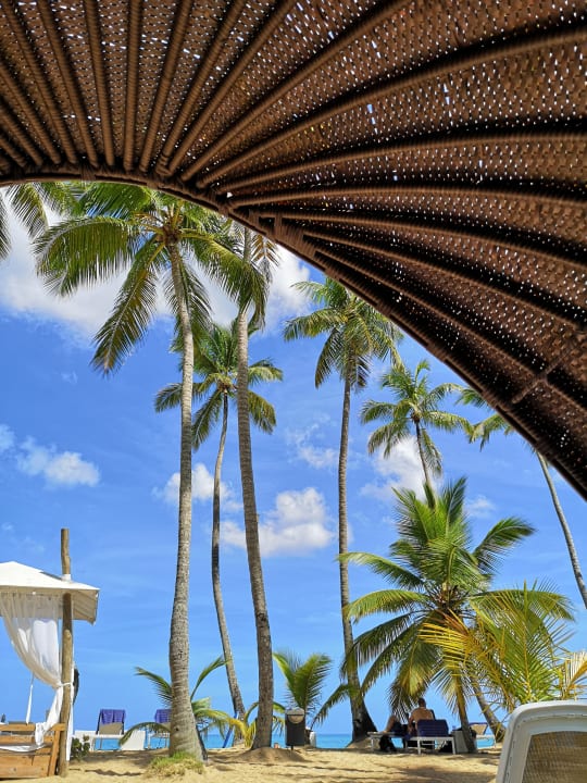 Ausblick Viva V Samana by Wyndham – Adults Only