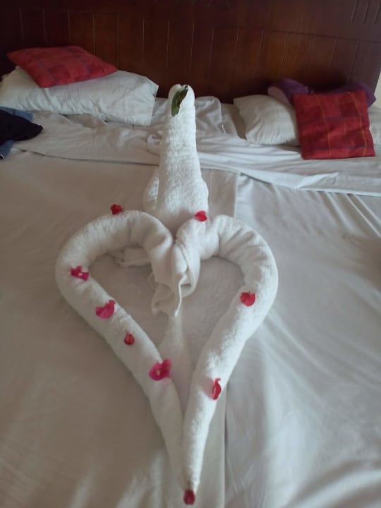 Zimmer Three Corners Sea Beach Resort