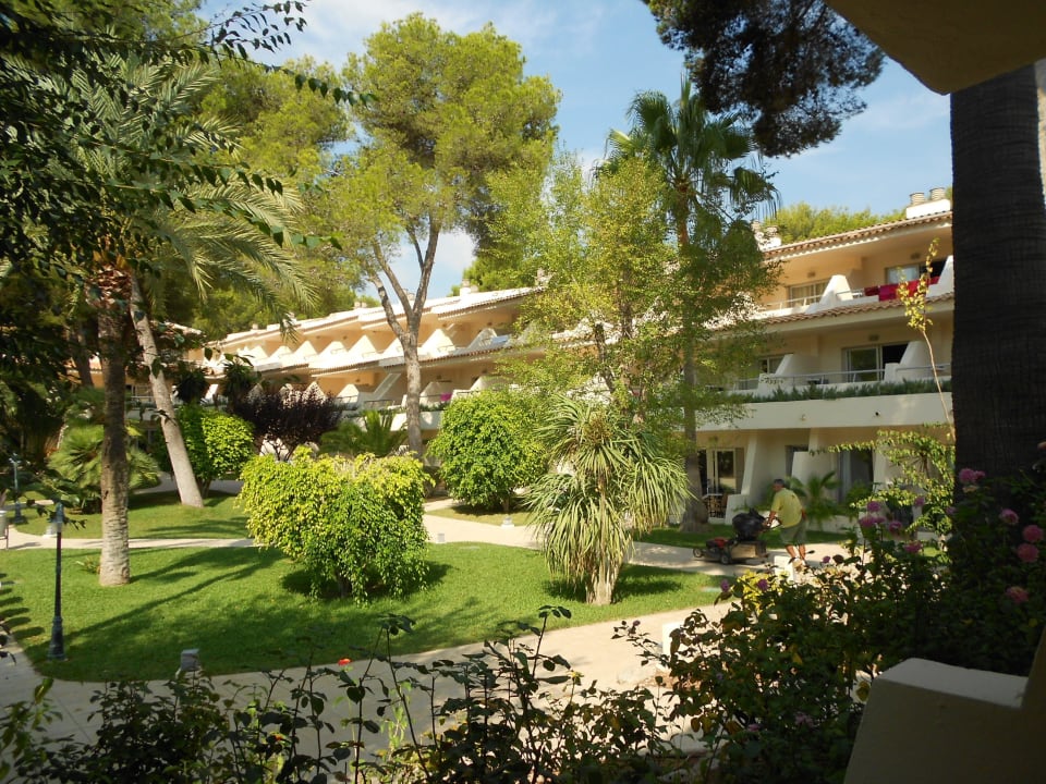 Blick von der Terrasse in den Garten Iberostar Waves Pinos Park
