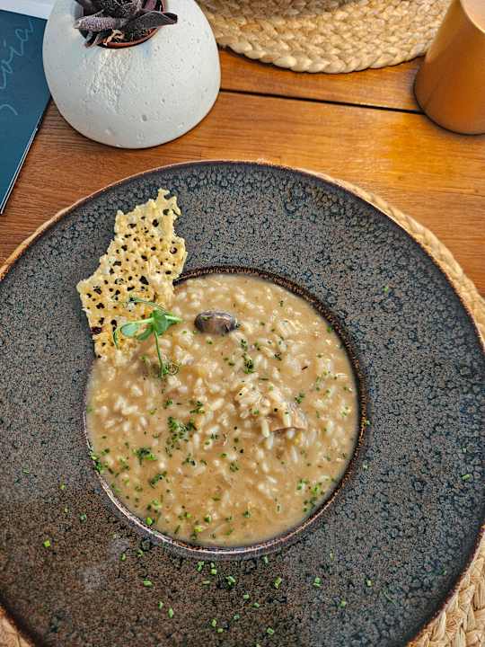 Gastro Proteas Blu Resort