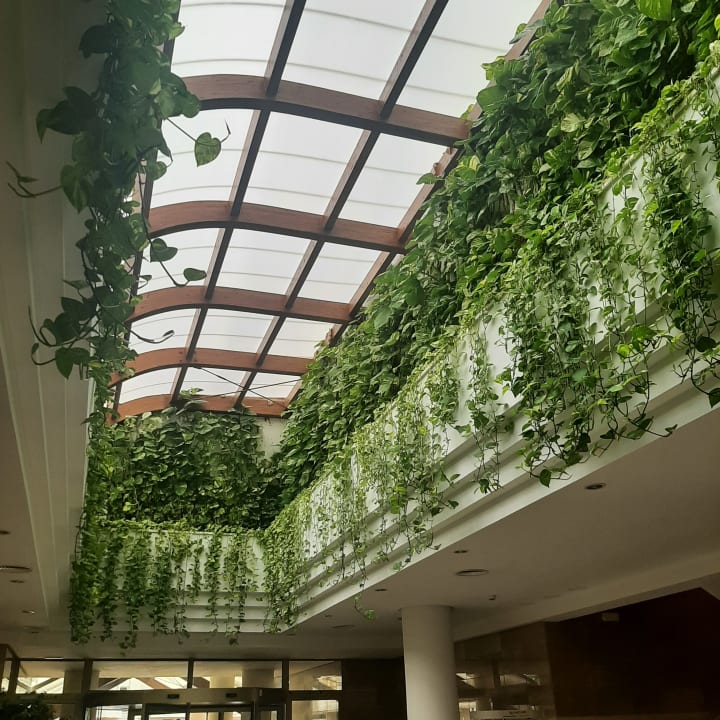 Lobby Welikehotel Marfil Playa