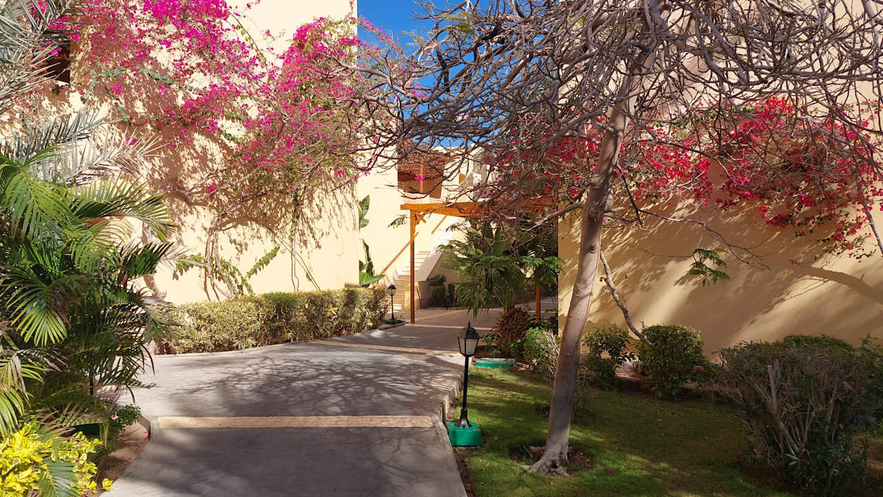 Außenansicht Steigenberger Coraya Beach - Adults only