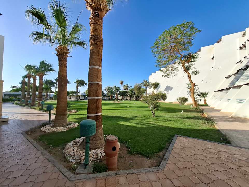 Gartenanlage Shams Safaga Resort