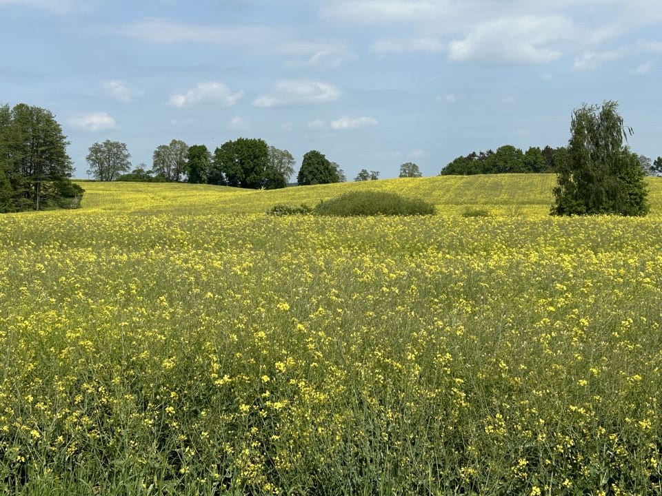 Außenansicht Hotel Fleesensee Resort & Spa