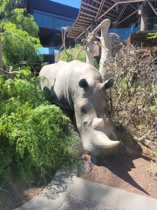 Gartenanlage Lopesan Baobab Resort