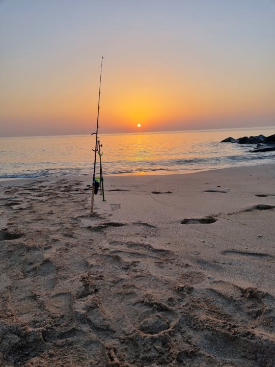 Außenansicht Hotel Le Meridien Al Aqah Beach Resort