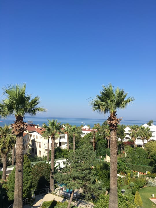 Ausblick Side Star Elegance