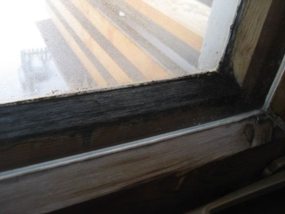 Schimmel im Fensterrahmen Berghotel Dachstein